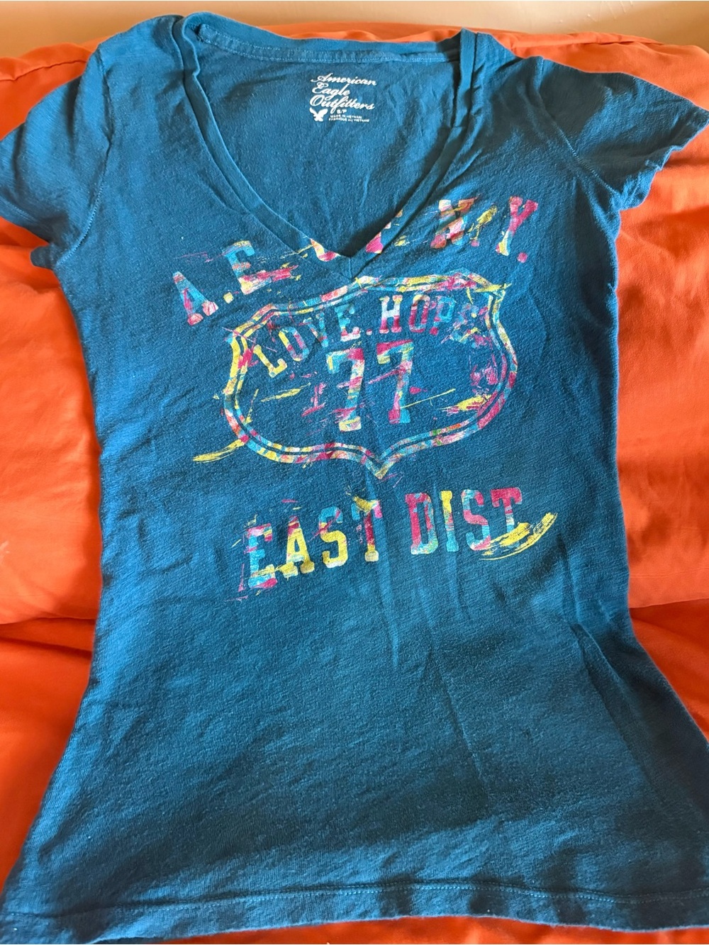 American Eagle Outfitters Teal V‑Neck Tee with Multicolor Graphic